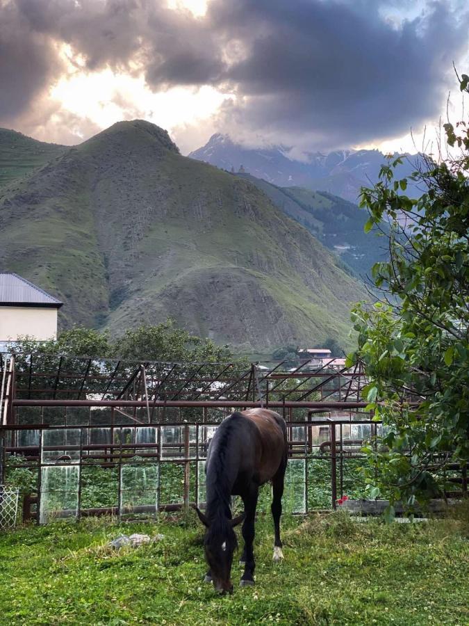 Dato Khetaguri Apartment Kazbegi Eksteriør bilde