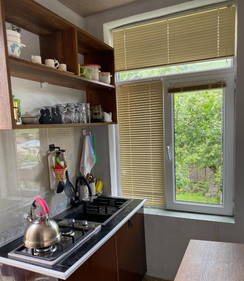 Dato Khetaguri Apartment Kazbegi Eksteriør bilde